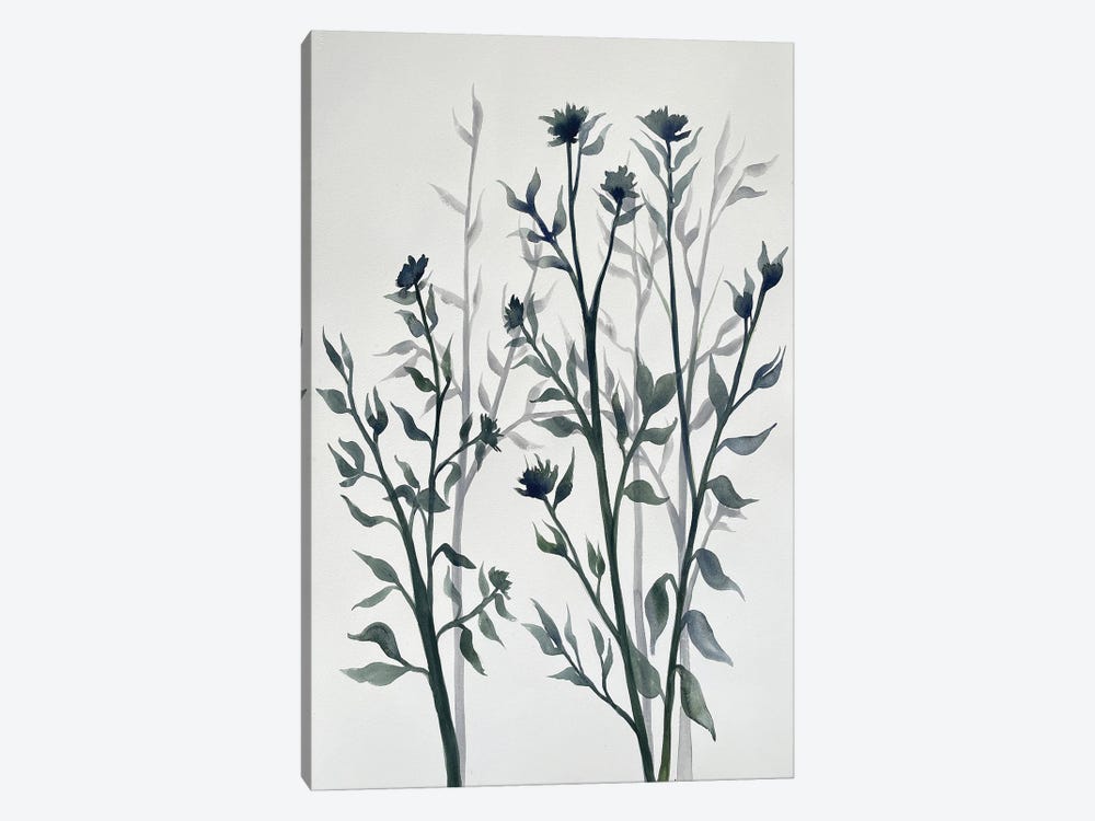 Botanical Inspiration II by Doris Charest 1-piece Canvas Art Print