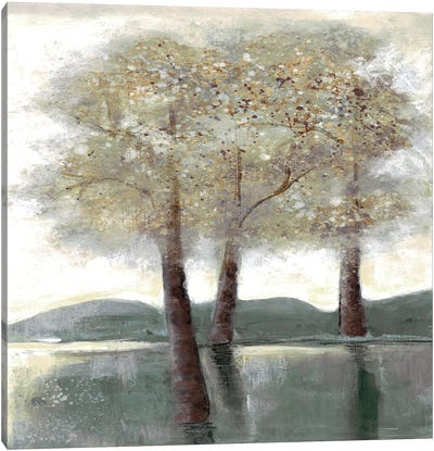 Memorable Woods I Canvas Art Print - Doris Charest