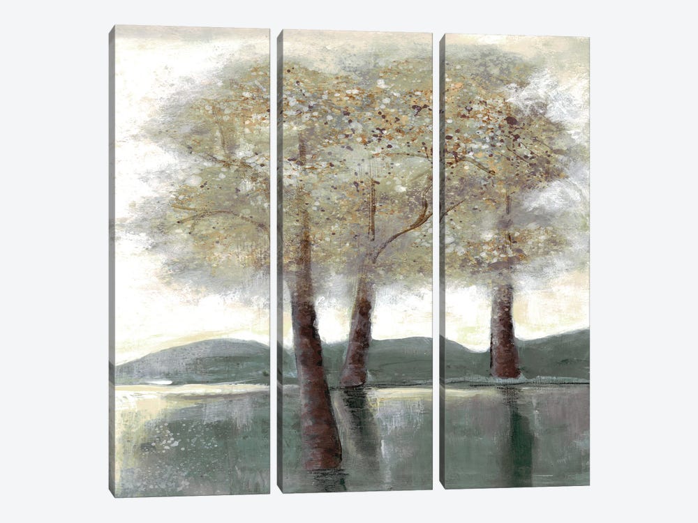 Memorable Woods I by Doris Charest 3-piece Canvas Print