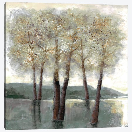 Memorable Woods II Canvas Print #DRI98} by Doris Charest Art Print