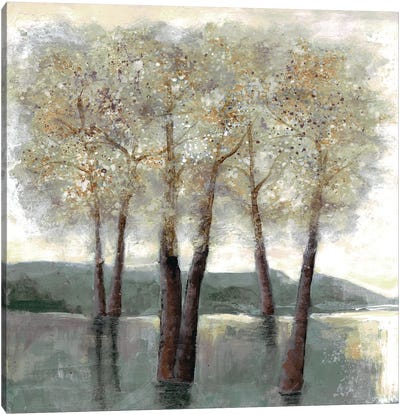 Memorable Woods II Canvas Art Print - Doris Charest