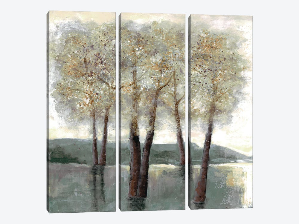 Memorable Woods II by Doris Charest 3-piece Canvas Art