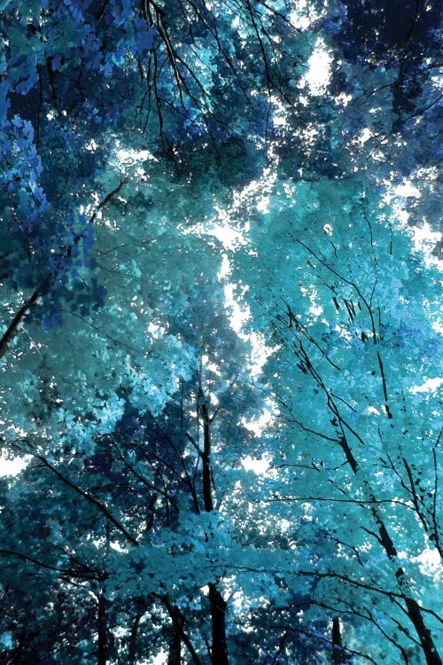Blue Forest I