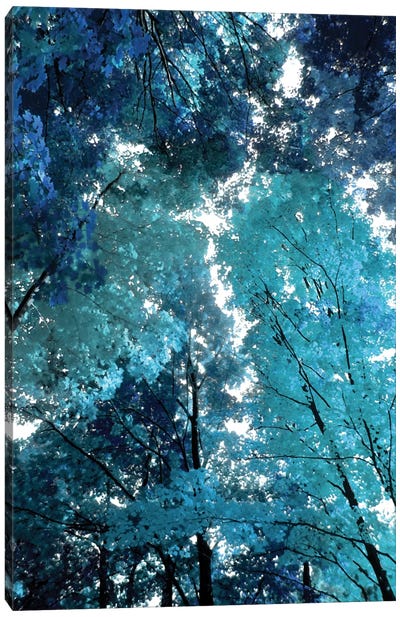 Blue Forest I Canvas Art Print - Black, White & Blue Art