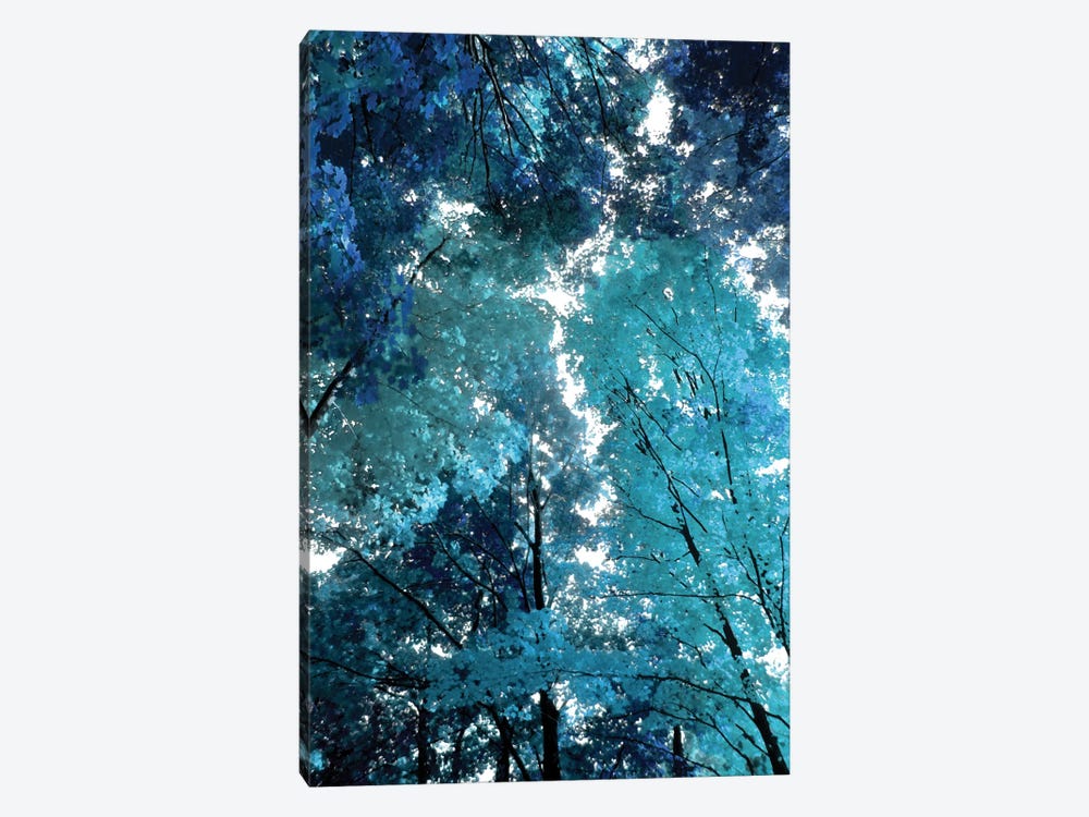 Blue Forest I by Derek Scott 1-piece Canvas Print