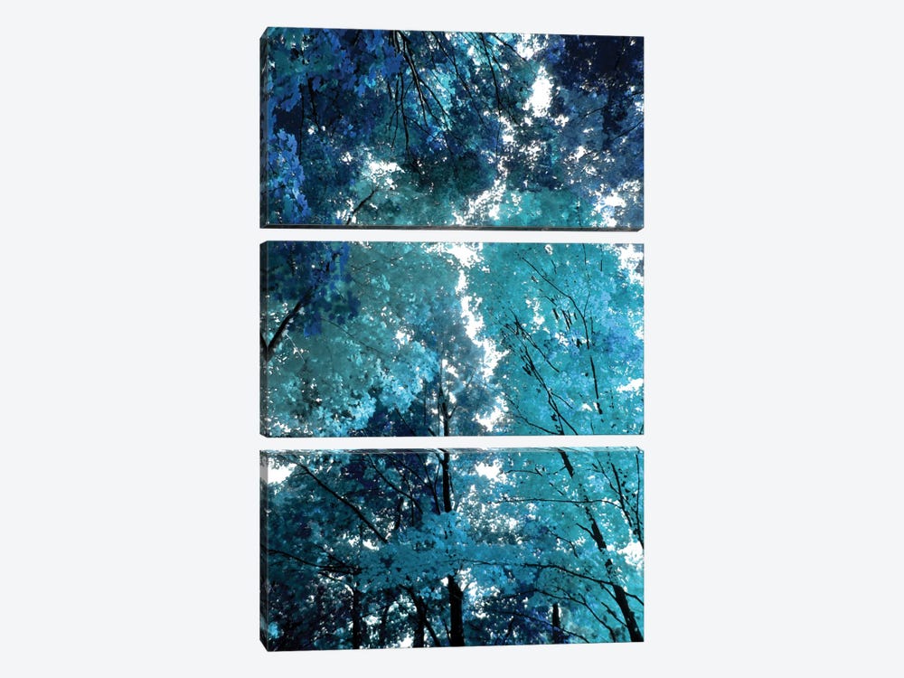 Blue Forest I by Derek Scott 3-piece Canvas Art Print