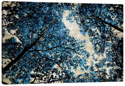 Blue Forest II Canvas Art Print - Tree Close-Up Art