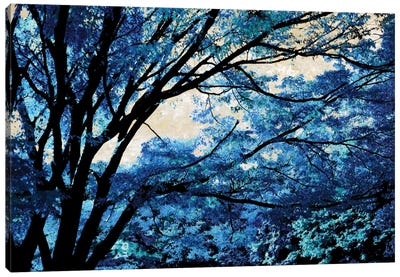 Blue Forest III Canvas Art Print - Tree Close-Up Art