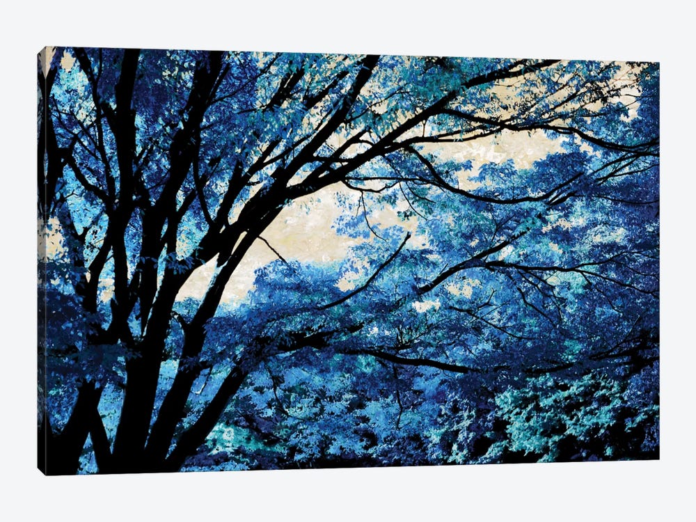 Blue Forest III by Derek Scott 1-piece Canvas Print