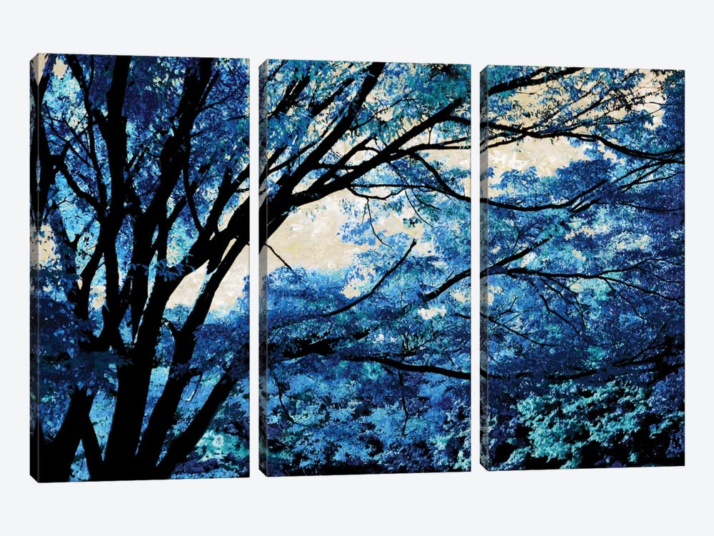Blue Forest III by Derek Scott 3-piece Art Print