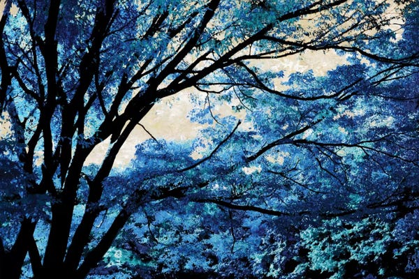 Nature Close-Ups: Blue Forest III by Derek Scott