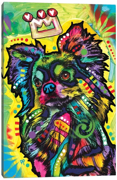 The Star Canvas Art Print - Chihuahua Art