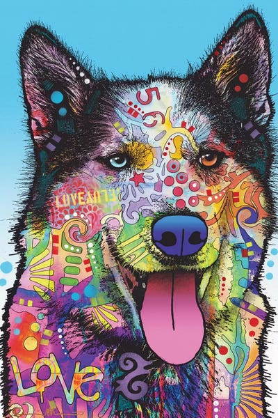 Siberian Huskies: Yukon by Dean Russo