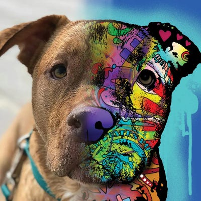 Christy Sexton by Dean Russo framed wall art