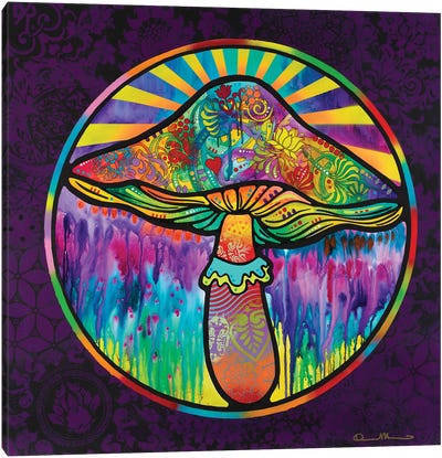 Mushroom Canvas Art Print - Psychedelic & Trippy Art