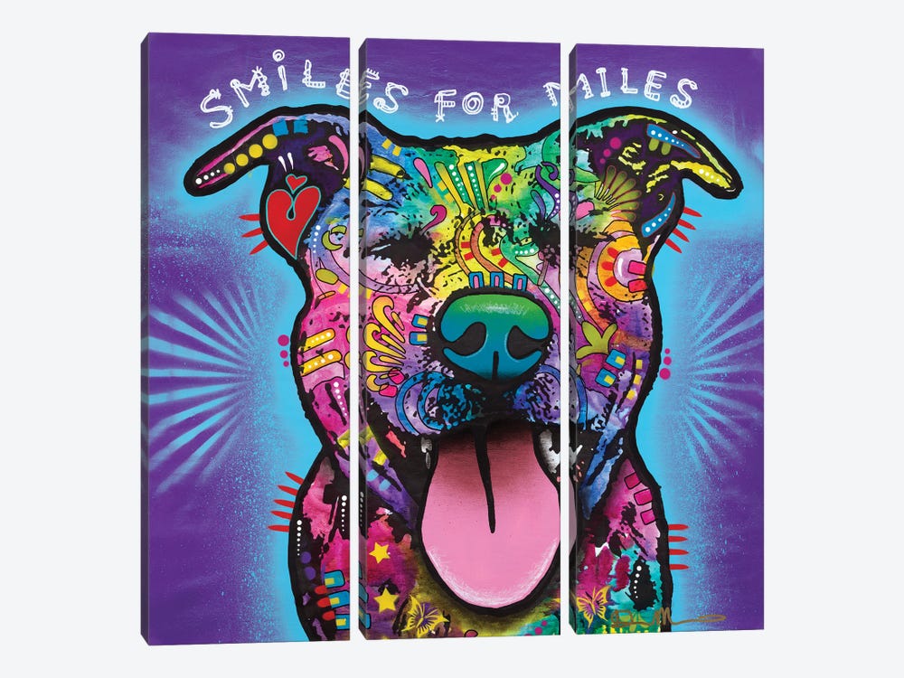 Smiles For Miles by Dean Russo 3-piece Canvas Art Print