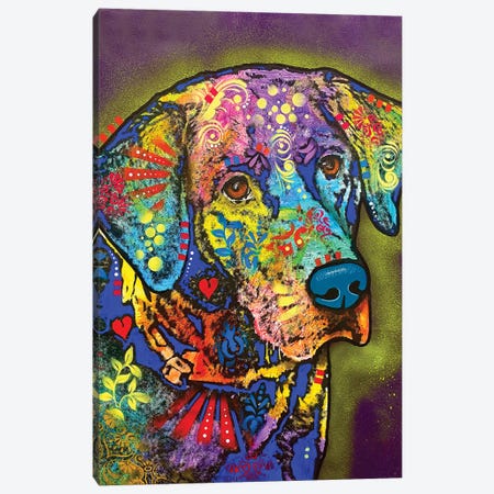A Thoughtful Lab Canvas Print #DRO1106} by Dean Russo Canvas Artwork