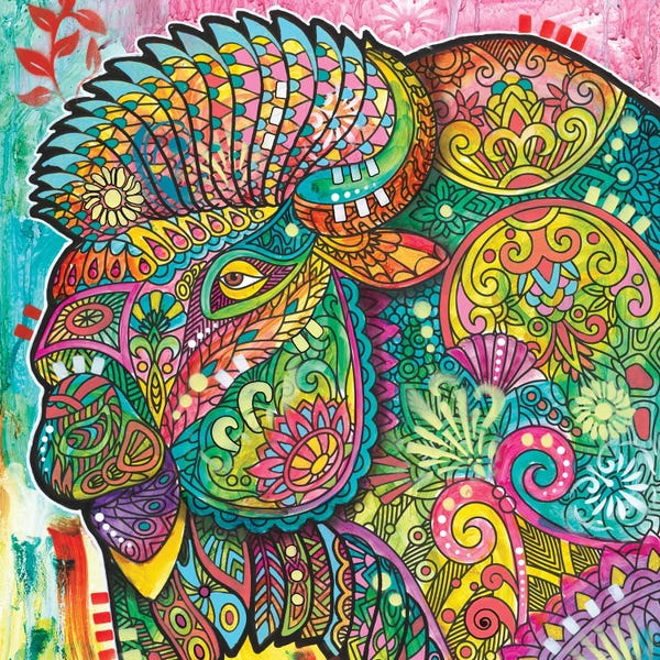 Bison & Buffaloes: Bison by Dean Russo