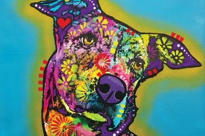 Bounty by Dean Russo canvas print