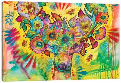 Flower Buck Canvas Art Print - Dean Russo