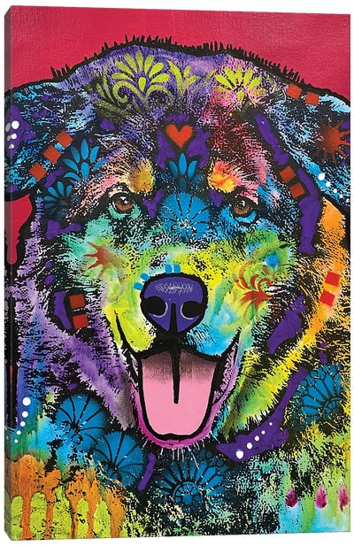 I'll Always Be A Lap Dog No Matter How Big I Get Canvas Art Print - Dean Russo