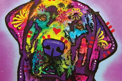 Labb by Dean Russo framed canvas print