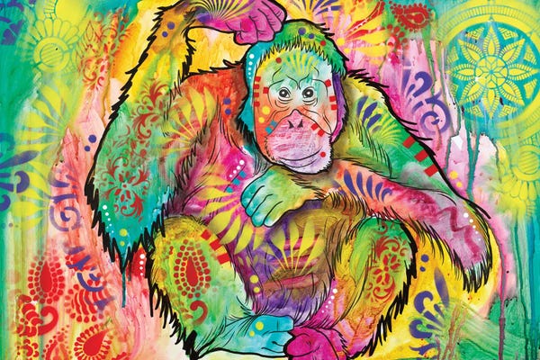 Dean Russo: Orangutan by Dean Russo