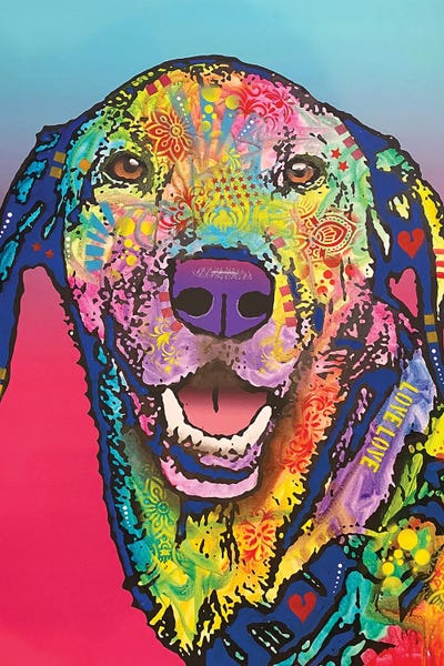 Hearts: Zoomies Expert by Dean Russo