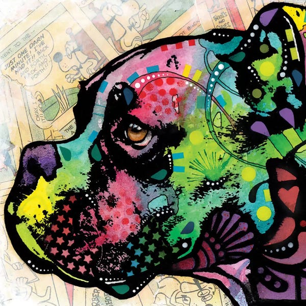 Boxers: Profile Boxer Deco by Dean Russo