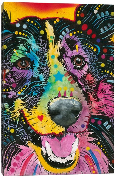 Smiling Collie Canvas Art Print - Pet Industry