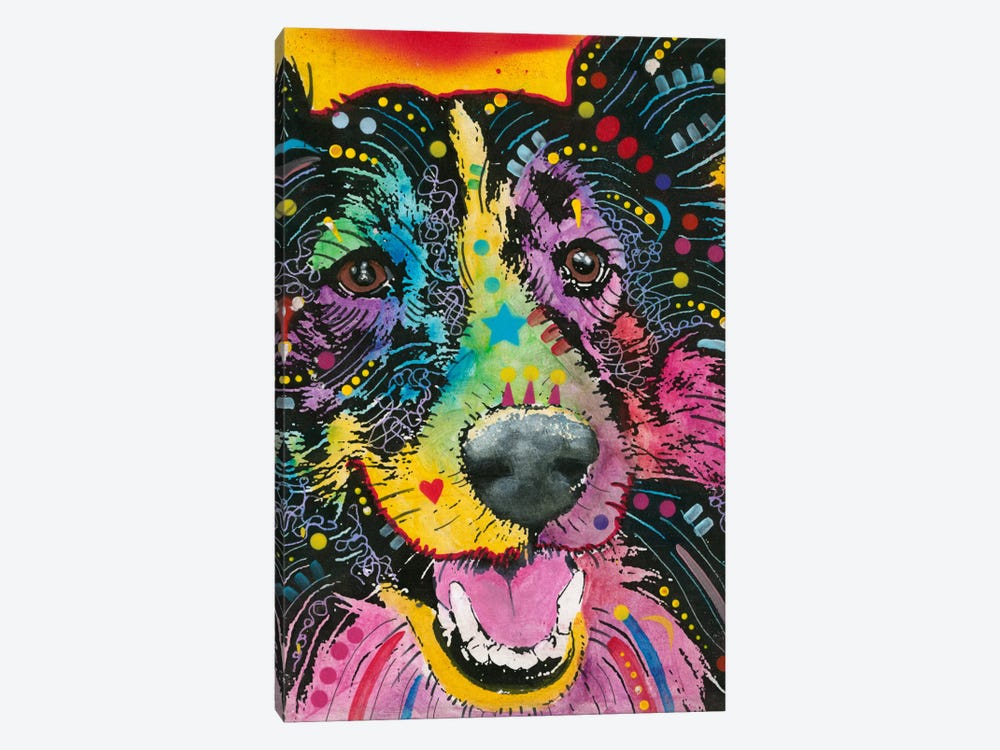 Smiling Collie by Dean Russo 1-piece Art Print