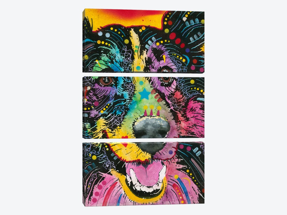 Smiling Collie 3-piece Art Print