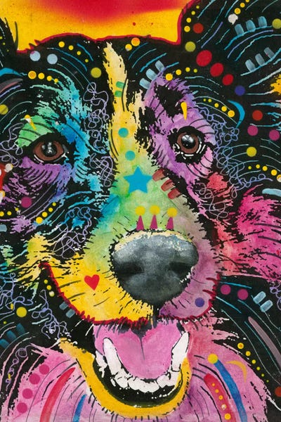 Dean Russo: Smiling Collie by Dean Russo