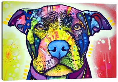 Love A Bull This Years Love Canvas Art Print - Staffordshire Bull Terrier Art