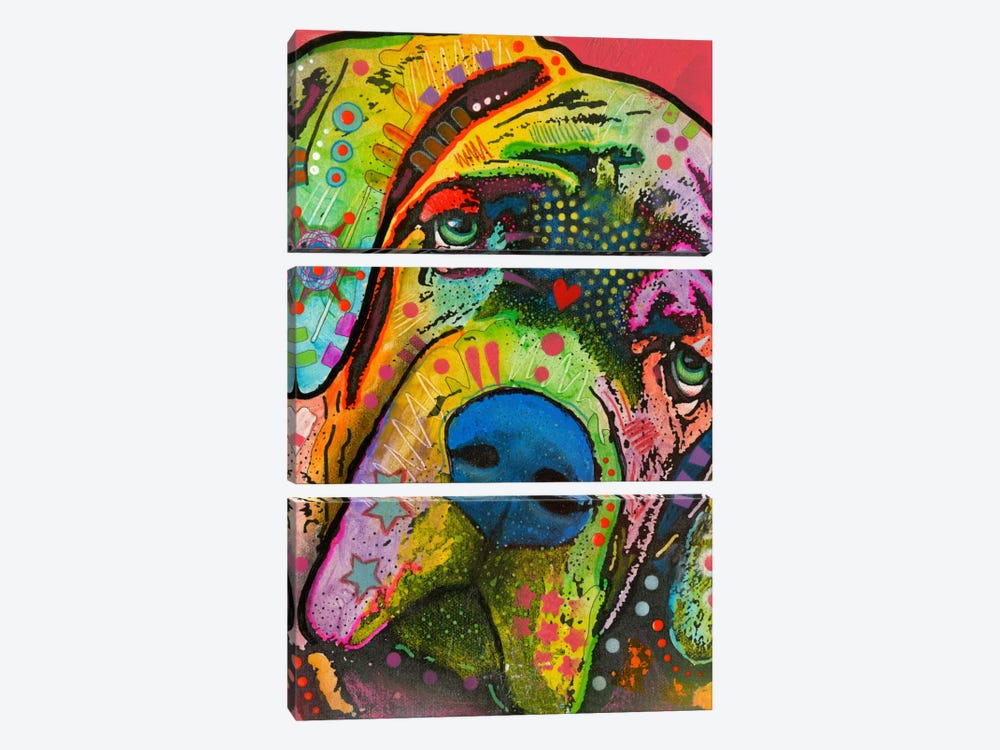 Mastiff 3-piece Canvas Art