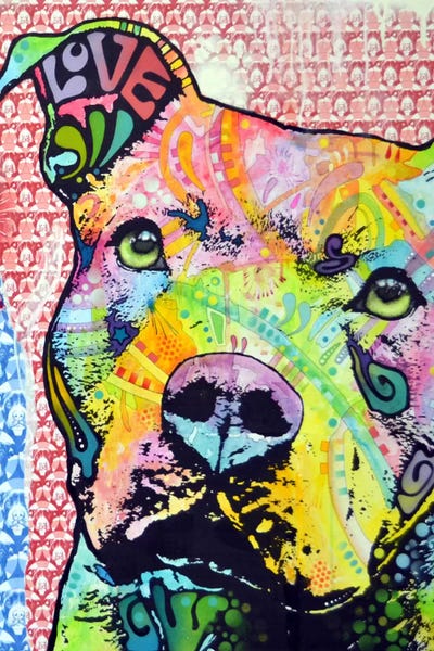 Dean Russo: Thoughtful Pit Bull This Years by Dean Russo