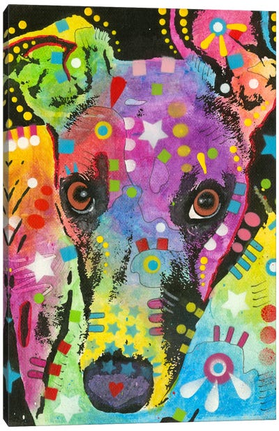 Curious Greyhound Canvas Art Print