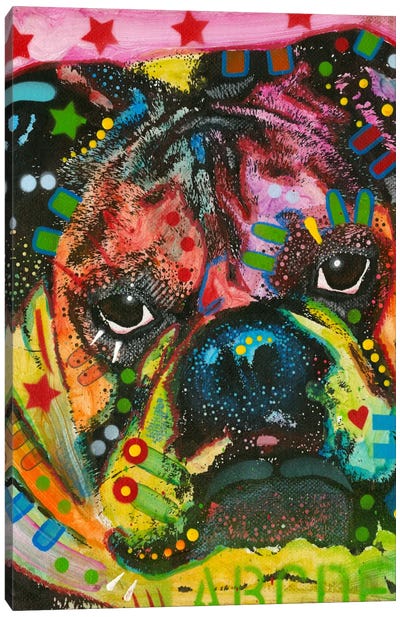 Determined Canvas Art Print - Bulldog Art