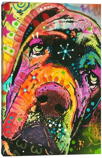 Ol’ Droopyface Canvas Art Print - Bloodhound Art