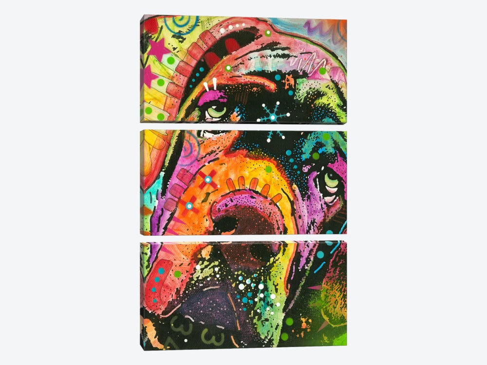 Ol’ Droopyface by Dean Russo 3-piece Art Print