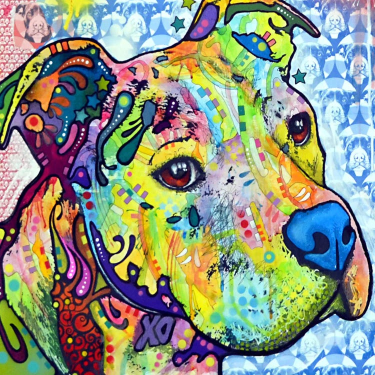 Thoughtful Pit Bull This Years I