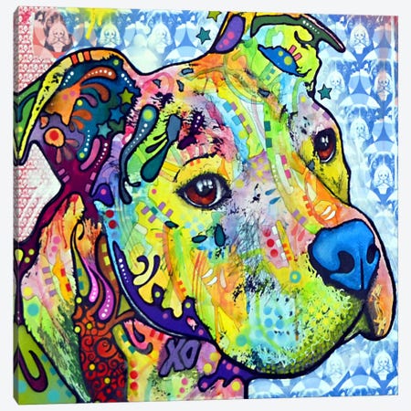 Thoughtful Pit Bull This Years I Canvas Print #DRO14} by Dean Russo Canvas Art