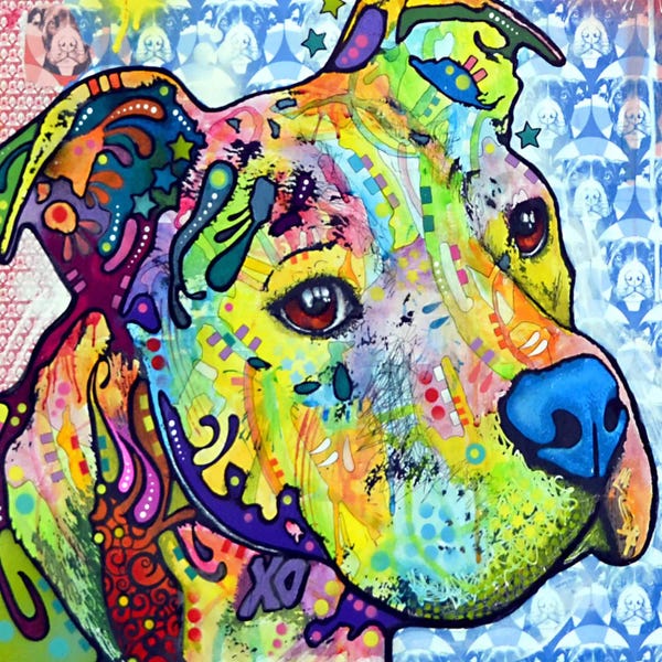 Thoughtful Pit Bull This Years I