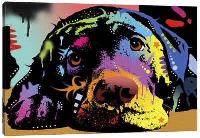 Lying Lab Canvas Art Print - Best Selling Dog Art
