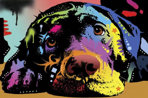 Labrador Retrievers: Lying Lab by Dean Russo