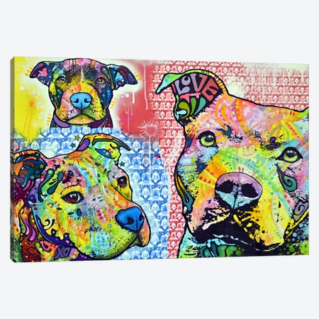 Thoughtful Pit Bull This Years II Canvas Print #DRO15} by Dean Russo Canvas Art