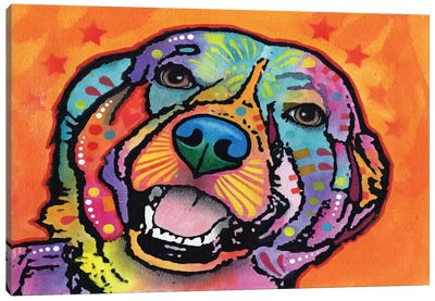 Galle Canvas Art Print - Labrador Retriever Art