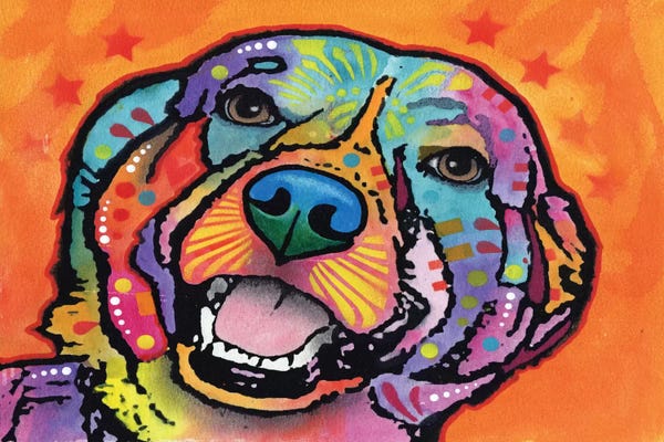 Labrador Retrievers: Galle by Dean Russo