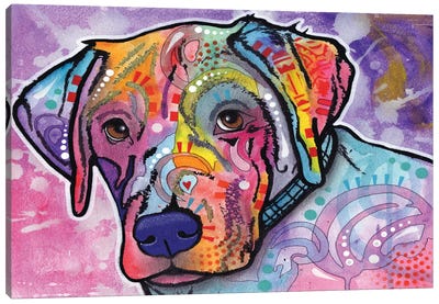 Petunia Canvas Art Print - American Pit Bull Terriers