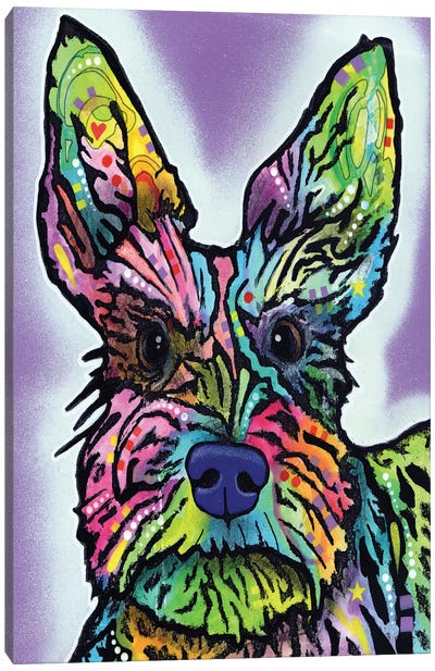 Stella Canvas Art Print - Scottish Terriers